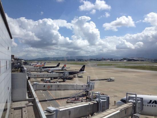 Fukuoka Airport Domestic Terminal Observation Room